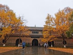 -灵谷景区