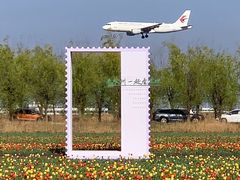-青岛胶东国际机场