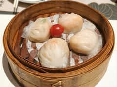 -新兴·金羊座·粤菜点心(乐峰店)