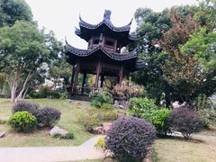 -梁鸿国家湿地公园