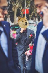 -HY小曼wedding·TOPYOUNG团队