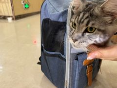 -瑞鹏宠物医院·骨科·猫科·内科(第一中心)