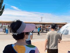 -乌梁素海景区