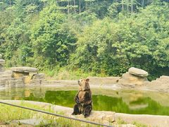 -杭州野生动物世界