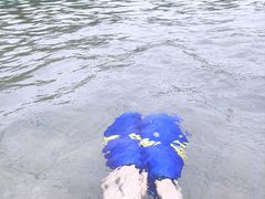 -柳浪游泳场