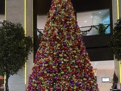 -皇朝尊会(龙之梦大酒店)