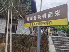 -大唐贡茶院