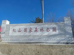 -红山国家森林公园