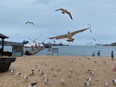 -海驴岛(荣成市)
