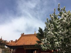-大召寺明清一条街
