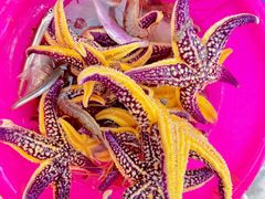 -巧克力渔家.小船海鲜胶东菜(万平口店)