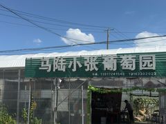 -马陆小张葡萄园农家乐