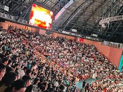 -俄罗斯国家大马戏团