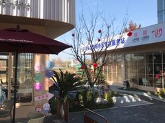 -上海长兴岛郊野公园