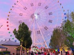 -特克斯八卦城