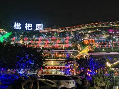 -枇杷园食为鲜火锅(南山店)