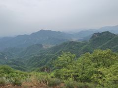 -六里坪国家森林公园