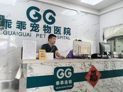 -乖乖宠物医院·猫科·骨科·24小时(云岗分院)