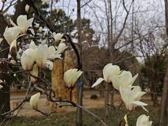 -国家植物园南园