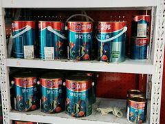 -立邦(宝坻专卖店)