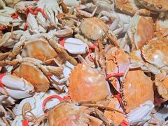 -仙螺岛海鲜自助餐厅(总店)
