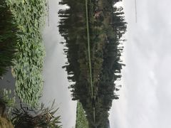 -东岳体育公园