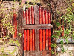 -斯多格书乡(北京大学畅春园店)