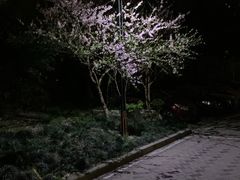 -爱康国宾体检中心(五角场万达广场分院)