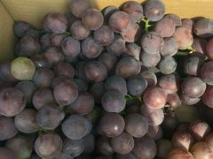 -乡乐园蟹庄·阳澄湖农家乐