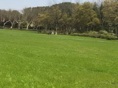 -宜兴龙背山森林公园