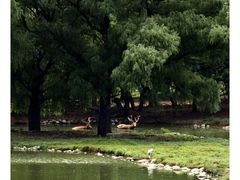-南海子公园