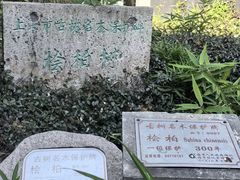 -松江清真寺