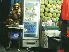 价格也不菲-芽笼