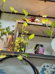 -冰岛刺青·手工耳饰品售卖·专业纹身