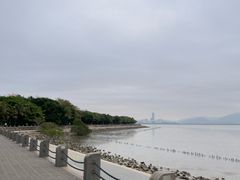 -深圳湾公园(南山区)