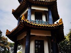 -赭山公园