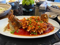 -新雅粤菜馆(南京东路店)