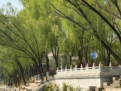 -皇家御河游(紫御湾码头)