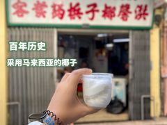 -洪馨椰子