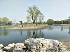 -大兴滨河森林公园