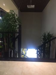 点击看大图 -苑苑发型设计