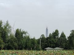 -三圣花乡旅游区