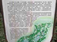 -忠山公园