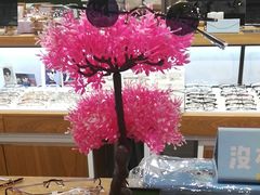 店内环境-BUTF美惠眼镜(天通苑万优汇店)