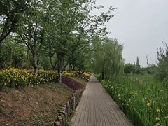 -长田漾湿地公园