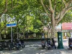 -中国邮政(张杨路邮政支局)