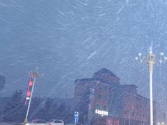 -塞罕坝国家级自然保护区