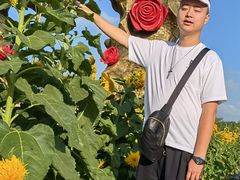 -亚龙湾国际玫瑰谷