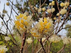 -杭州半山国家森林公园