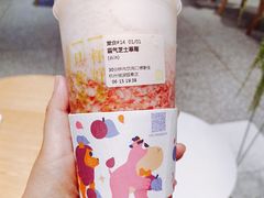 -奈雪的茶(湖滨银泰in77C区PRO店)